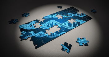 -运动康复技术在青少年体能提升中的应用研究，运动康复体系
